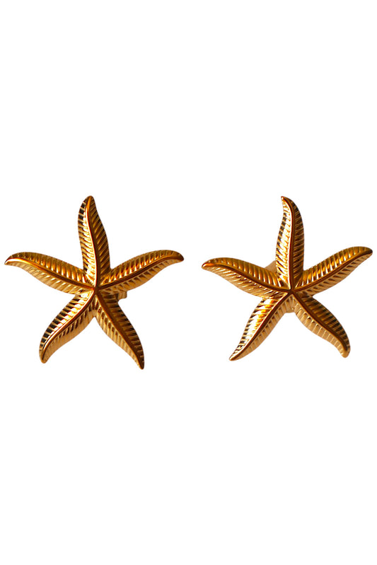 Brincos Starfish