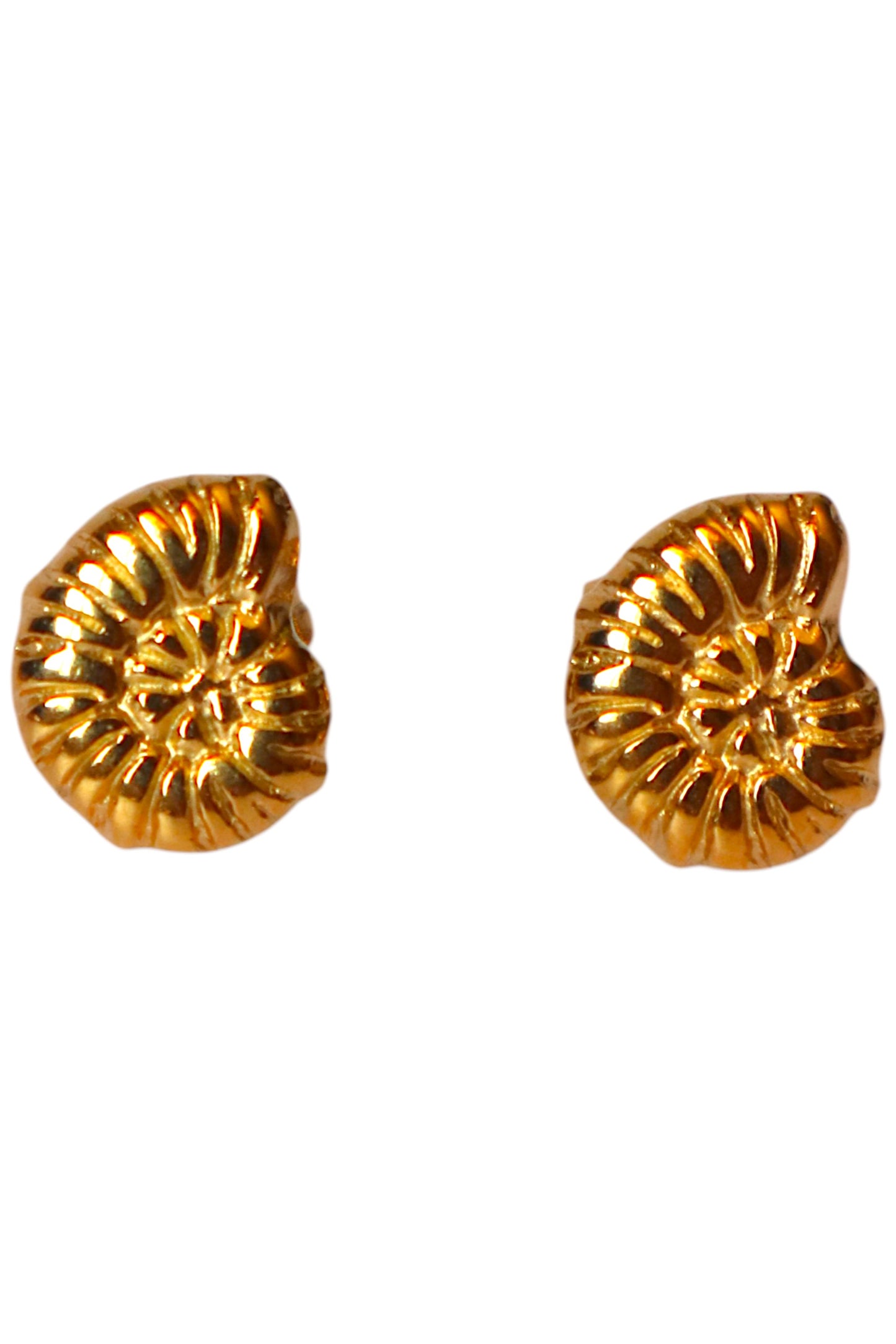 Brincos Mini Shell