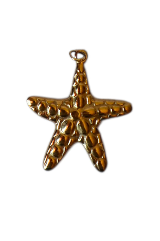Pendente Estrela