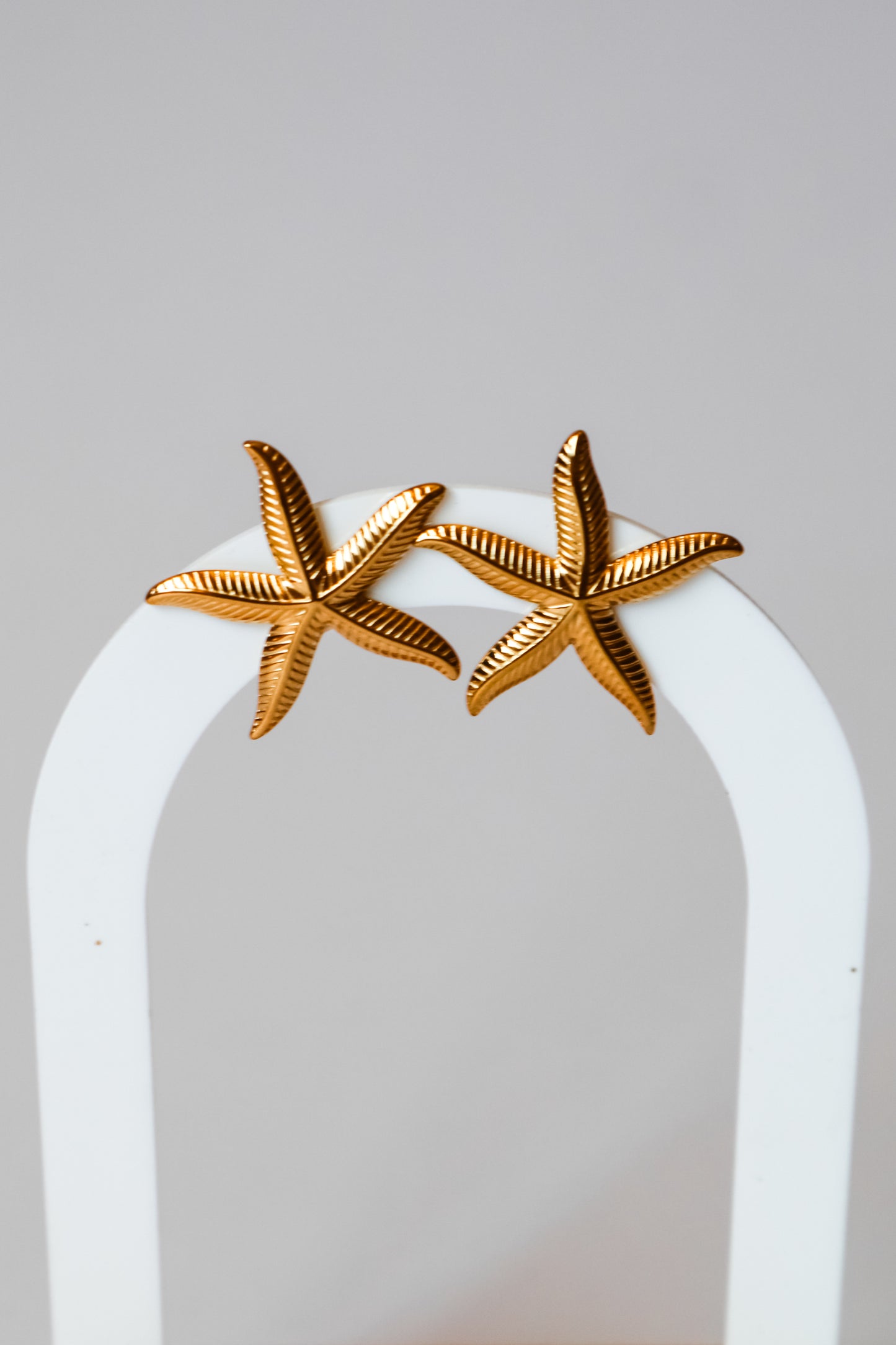 Brincos Starfish