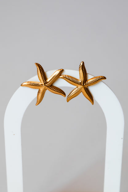 Brincos Starfish