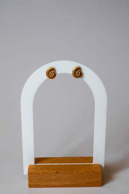 Brincos Mini Shell