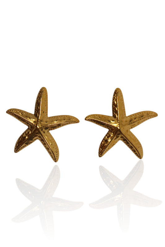 Brincos Starry Shell