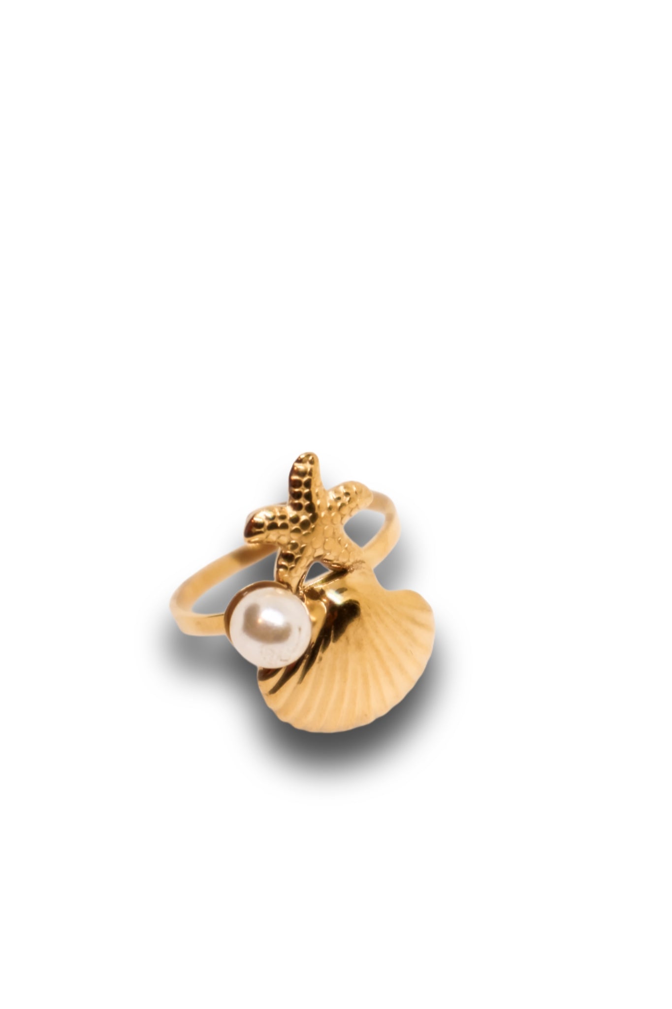 Anel Salino